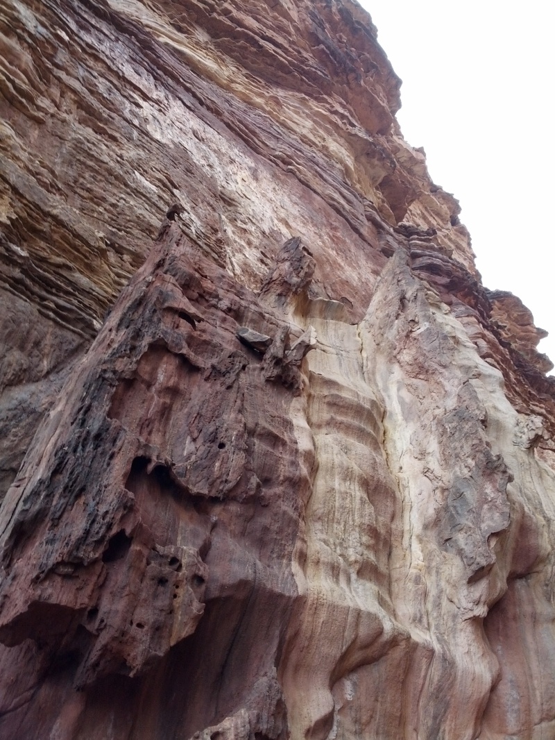 IMG_20130315_111140.jpg